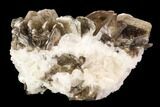 Muscovite & White Albite Crystal Association - Brazil #95569-1
